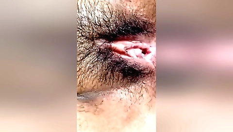 Busty brunette indian chick is showing her hairy pussy